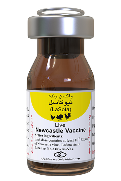 واکسن نیوکاسل سویه لاسوتا (1000، 2500 و 5000 دزی)