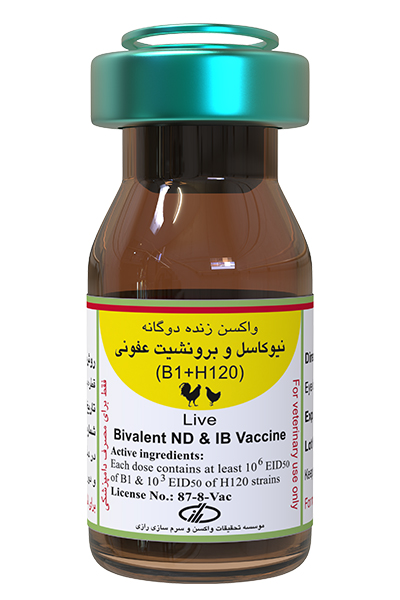 واکسن دوگانه نیوکاسل (B1) و برونشیت عفونی (H-120) 1000 و 2500 دزی