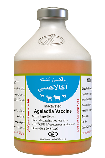 Agalactia Vaccine