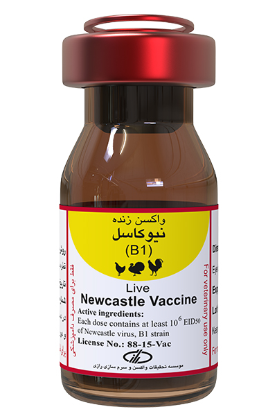 واکسن نیوکاسل سویه B1 (2500 ،1000 و 5000 دزی)